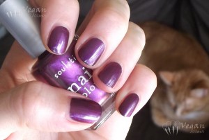 montreal_indirectsun