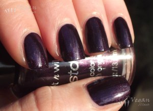 readytopounce2 Wet n Wild Ready to Pounce