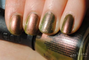 wildlife_crowdsurfing5 Nubar Wildlife and LA Girl Crowdsurfing