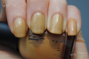 bumster_catwalk_hotcouture