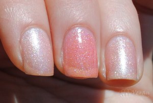 harbourisland_sparklingjellyfish