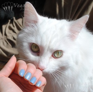 thor_capecod_antique