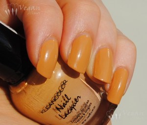 Kleancolor Café au Lait