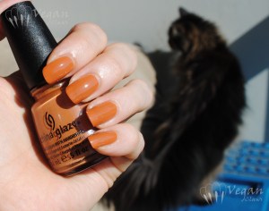 China Glaze Desert Sun