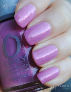 preamp_shade2 Orly Preamp