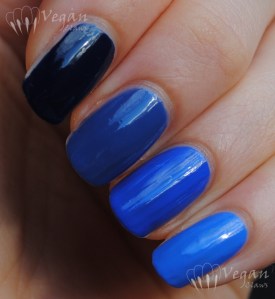 monterey_comp_shade Soulstice Monterey comparison