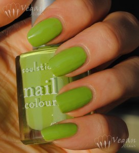 nevis2 Soulstice Spa Nevis