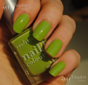 nevis3 Soulstice Spa Nevis