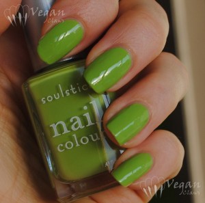 nevis_shade Soulstice Spa Nevis