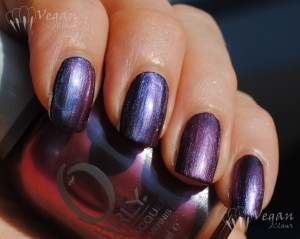 Orly Synchro over black