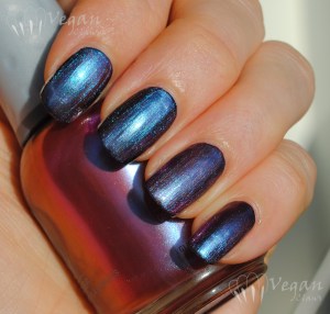Orly Synchro over black