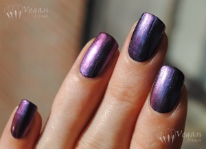 Orly Synchro over black