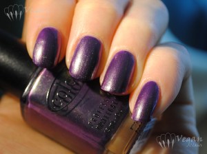 Color Club Port-folio