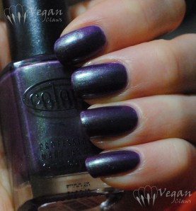 Color Club Port-folio