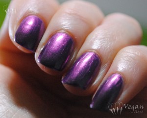 Color Club Port-folio