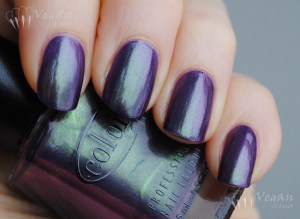 Color Club Port-folio