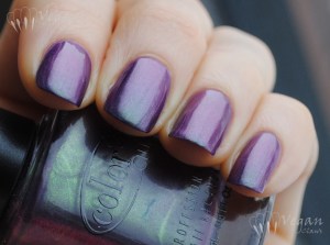 Color Club Port-folio