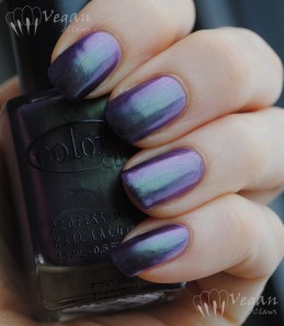 Color Club Port-folio