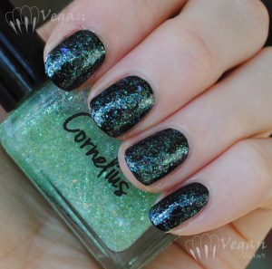 Ruby White Tips Sweet Faced Cornelius over black