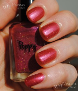 Ruby White Tips Poppy