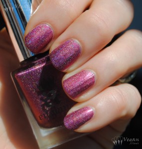 A England Briar Rose