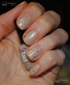 Kunimitsu Chocolate Point Siamese and Cinnamon Raisin