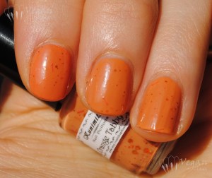 Kunimitsu Orange Tabby