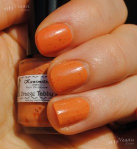 Kunimitsu Orange Tabby