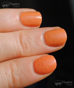 Kunimitsu Orange Tabby