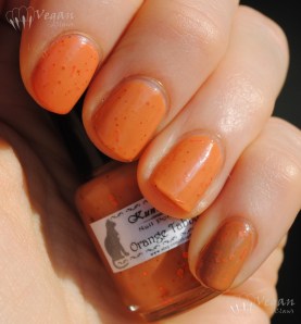 Kunimitsu Orange Tabby