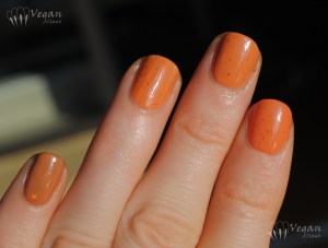 Kunimitsu Orange Tabby