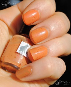 Kunimitsu Orange Tabby