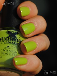 Authority Cosmetics Disco