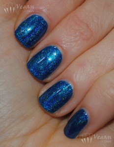 Glitter Gal Navy I Will Navy I Won't and Gloss Boss