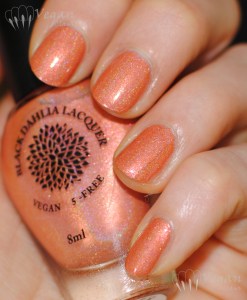 blackdahlialacquer_dandelionfields_flash