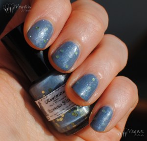 kunimitsu_russianblue3