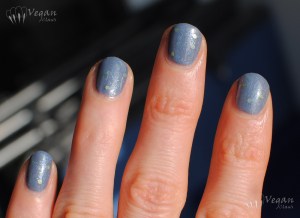 kunimitsu_russianblue4