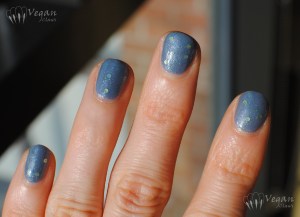 kunimitsu_russianblue5