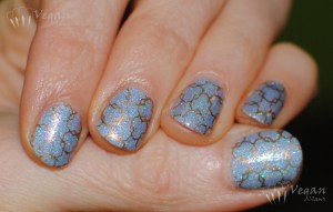 blackdahlia_austincitylimits_stampingmm13