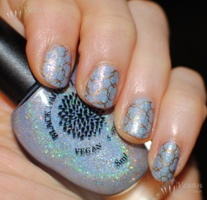 blackdahlia_austincitylimits_stampingmm13_1