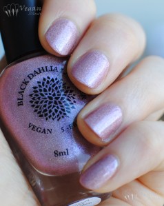 blackdahlialacquer_capitalrosegarden_shade