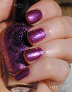 blackdahlialacquer_hotpinktulips2