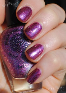 blackdahlialacquer_hotpinktulips4