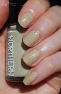 northernstar_werenotworthy