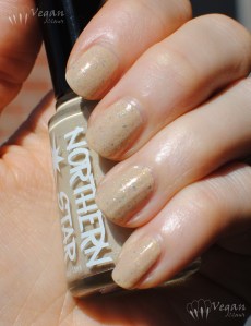 northernstar_werenotworthy3