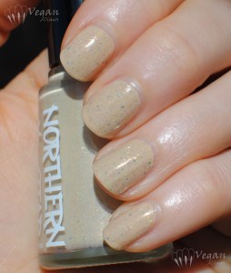 northernstar_werenotworthy4