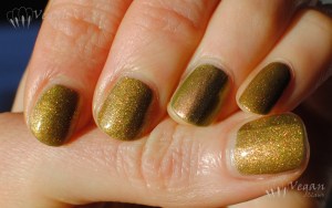 sparitual_nomad_tc_nubar_wildlife7