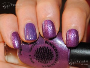 blackdahlialacquer_90innovember_stripedpeonies_flash