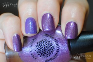 blackdahlialacquer_90innovember_stripedpeonies_ott