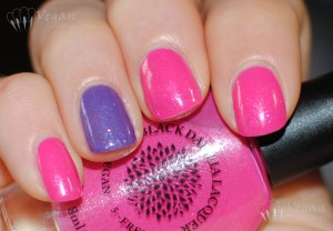 blackdahlialacquer_rosepetals_stripedpeonies_flash